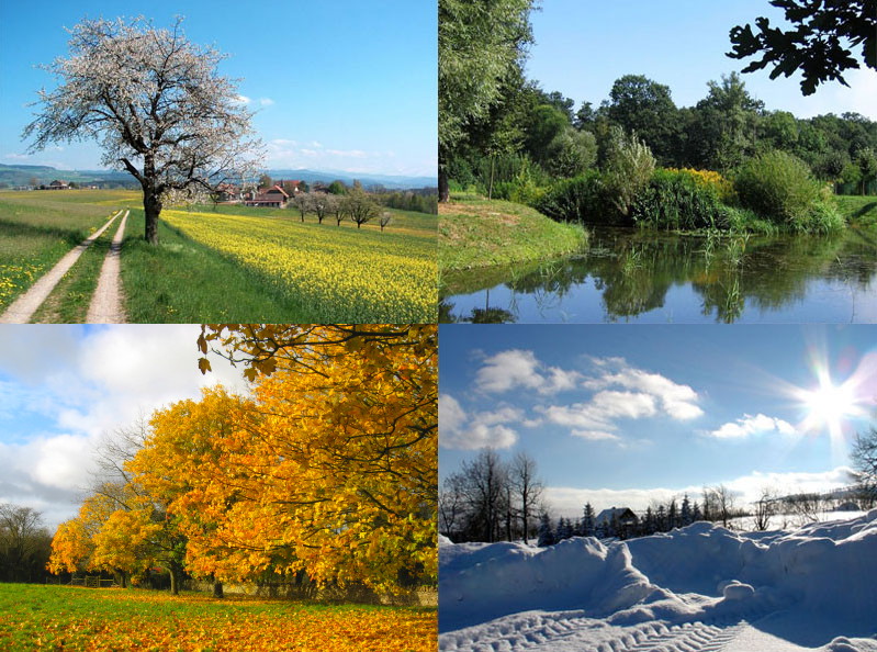 Файл:Four seasons.jpg