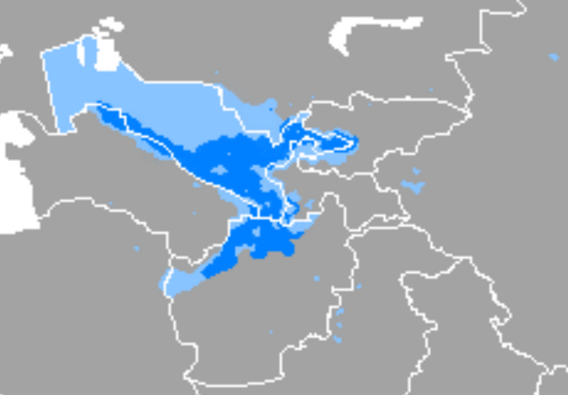 Файл:Uzbek language.png