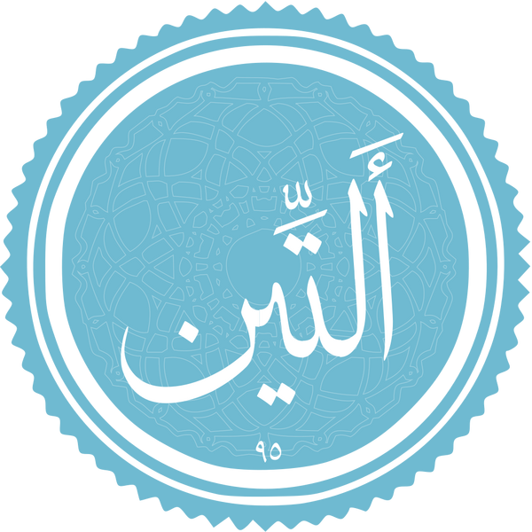 Файл:At-Tin.png