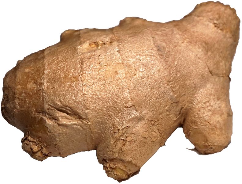 Файл:Ginger 2.jpg